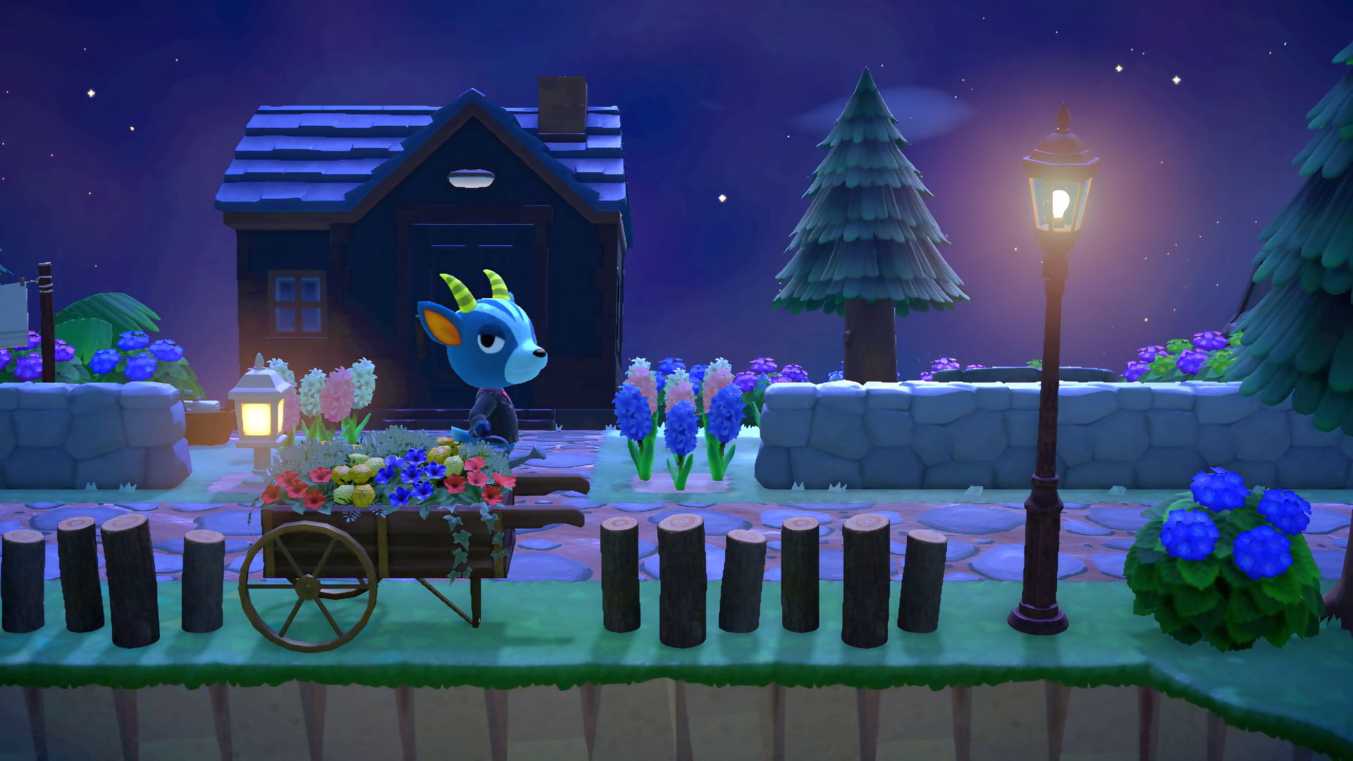 Animal Crossing jardin de nuit